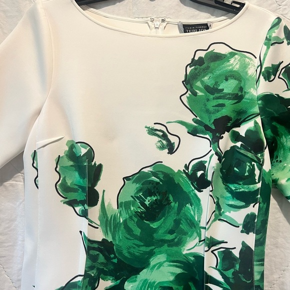 Rickie Freeman Terri Jon - Green Floral Dress Sz10 - Picture 4 of 12